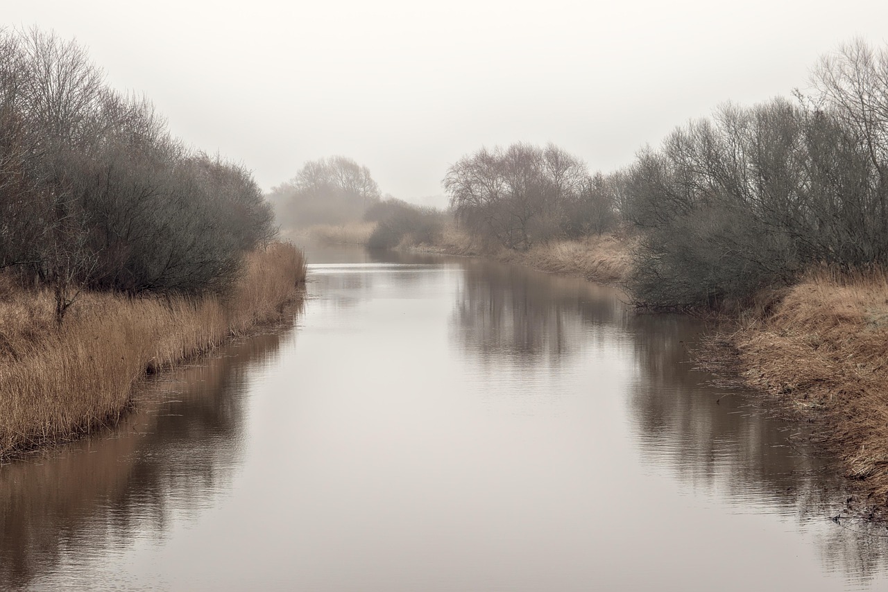 Riverbank, fog, flow — Discovering the Game-Changer in Sports Viewing
