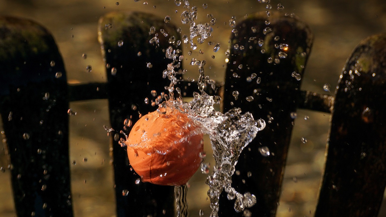 Ball, water feature, wet — The Advantages Of Being An Entrepreneur Like Nihar Gala