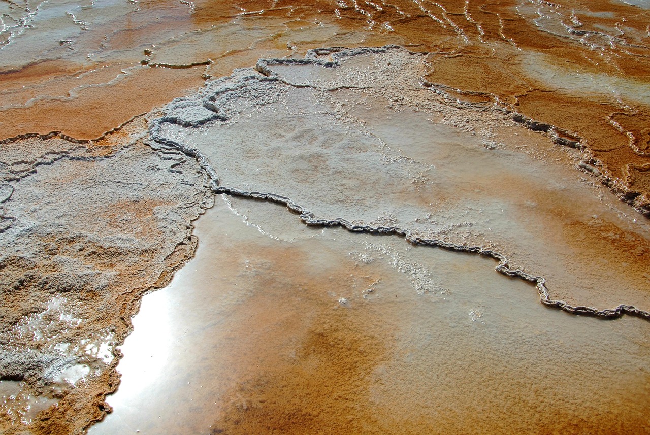 Travertine, mammoth hot springs, yellowstone national park — The Role of IT Consulting in Digital Transformation