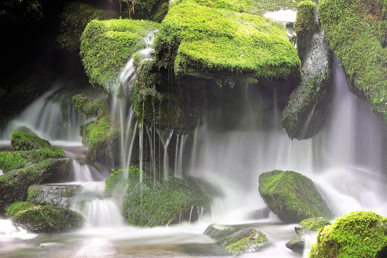 Moss, waterfall, nature — Watch What You Love, Anytime with IPTV Subscriptions